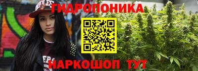 скорость Кинель