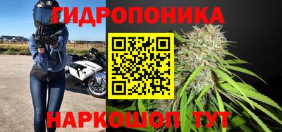 гашиш Кимры