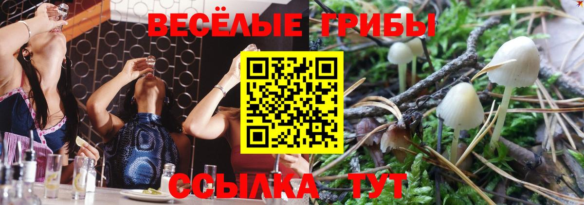 Псилоцибиновые грибы мицелий Азов